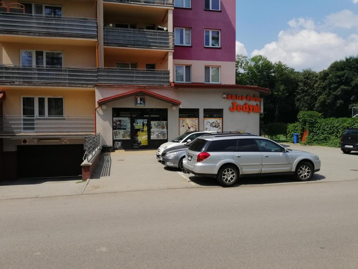 Apartament Witkiewicza Sanok Luaran gambar